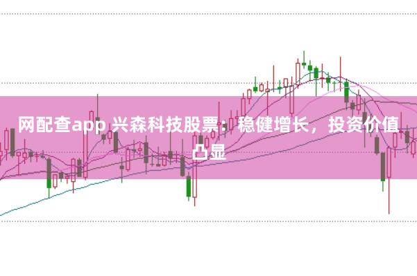 网配查app 兴森科技股票：稳健增长，投资价值凸显