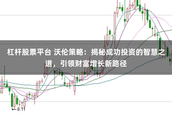 杠杆股票平台 沃伦策略：揭秘成功投资的智慧之道，引领财富增长新路径