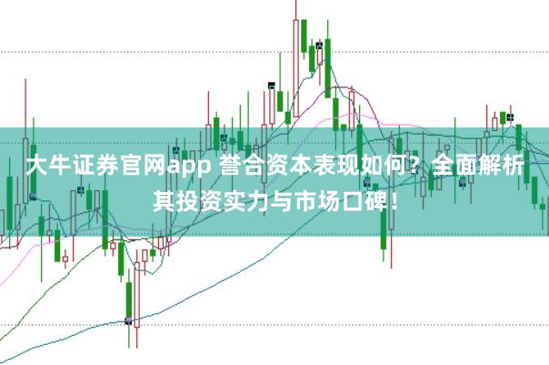 大牛证券官网app 誉合资本表现如何？全面解析其投资实力与市场口碑！