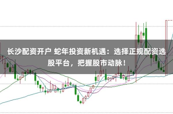 长沙配资开户 蛇年投资新机遇：选择正规配资选股平台，把握股市动脉！