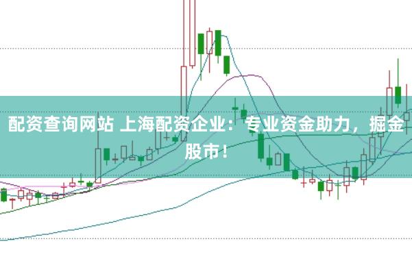 配资查询网站 上海配资企业：专业资金助力，掘金股市！