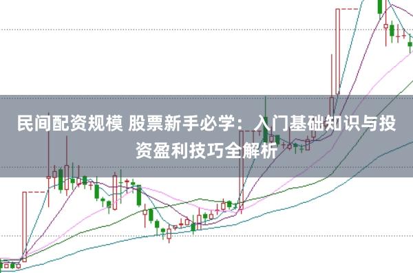 民间配资规模 股票新手必学：入门基础知识与投资盈利技巧全解析