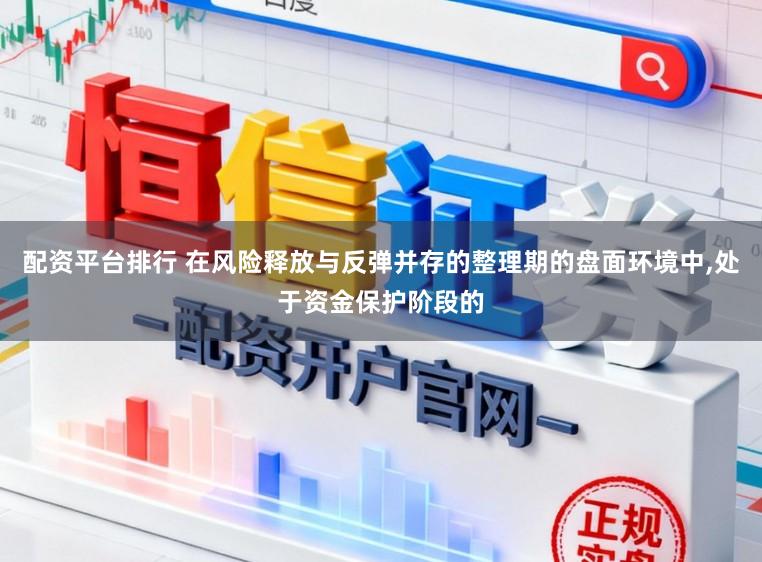配资平台排行 在风险释放与反弹并存的整理期的盘面环境中,处于资金保护阶段的